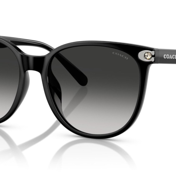 Coach Embedded C HC 8414BD 50023C Rounded Square Black Sunglasses New With Case - Picture 3 of 13